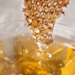 Bienen Waben Imker schleudern
